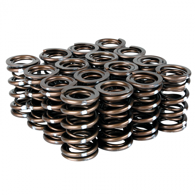 Skunk2 Pro Series Honda/Acura B-Series VTEC XP Valve Spring Set (Dual Springs) - eliteracefab.com