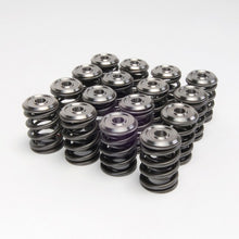 Load image into Gallery viewer, Skunk2 Alpha Series Honda/Acura K Series Valve Spring and Titanium Retainer Kit - eliteracefab.com