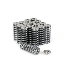 Load image into Gallery viewer, Skunk2 Alpha Series Honda/Acura D Series Valve Spring and Titanium Retainer Kit - eliteracefab.com