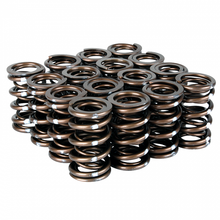 Load image into Gallery viewer, Skunk2 Pro Series Honda/Acura K-Series i-VTEC XP Valve Spring Set (Dual Springs) - eliteracefab.com