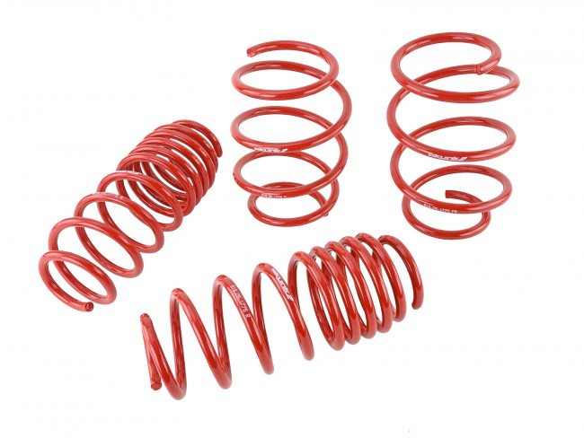 Skunk2 16-17 Honda Civic Lowering Springs (1.375in - 1.25in) (Set of 4) - eliteracefab.com