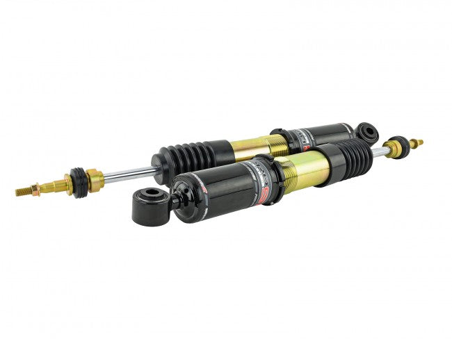 Skunk2 17-20 Honda Civic Si Pro-ST Coilovers - eliteracefab.com