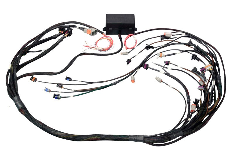 Haltech GM GEN III LS1 & LS6 (Non DBW) Elite 2000/2500 Terminated Harness w/EV1 Injector Connectors