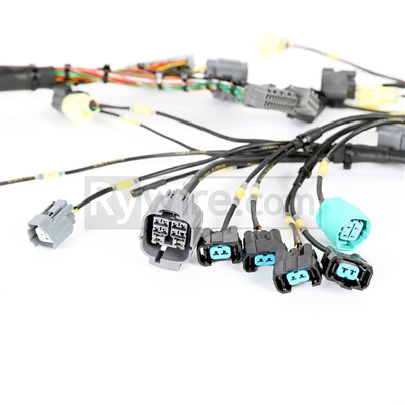 Rywire Honda B-Series Mil-Spec Eng Harness w/OBD2 Dist/Inj/Alt & OBD1 92-95 ECU Plugs (Adapter Req) - eliteracefab.com