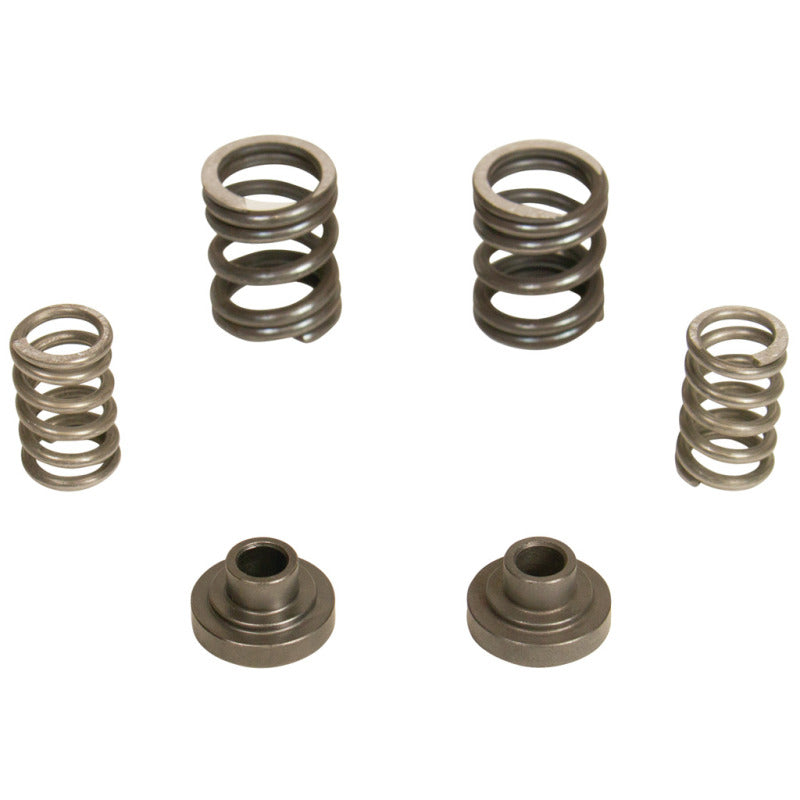 BD Diesel Governor Spring Kit 3000rpm - 1994-1998 Dodge 12-valve/P7100 Pump - eliteracefab.com