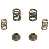 P7100 GOVERNOR SPRING KIT - 1040187 3000RPM DODGE 12-VALVE CUMMINS 1994-1998