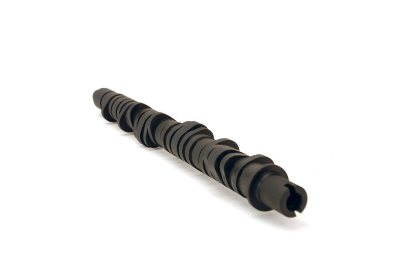 Skunk2 Tuner Series D-Series Honda Stage 4 Camshaft - eliteracefab.com