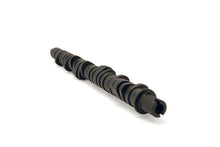 Load image into Gallery viewer, Skunk2 Tuner Series D-Series Honda Stage 4 Camshaft - eliteracefab.com