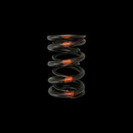 Brian Crower Honda/Acura B18A/B18B/B20B - Single Valve Spring - BC1020-1 Brian Crower