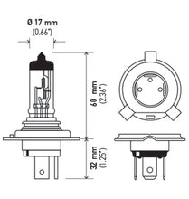 Load image into Gallery viewer, Hella Halogen H4 12V 60/55W Bulb - eliteracefab.com