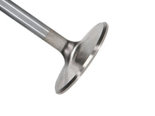 Load image into Gallery viewer, Manley Severe Duty Series BBC Stainless Steel Exhaust Valves 2.250in Dia 5.344in L - Set of 8