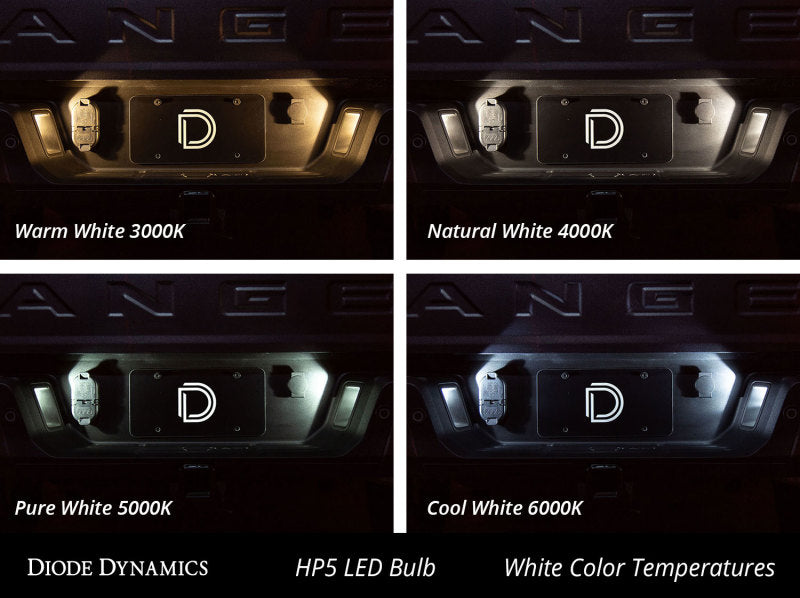 Diode Dynamics 194 LED Bulb HP5 LED Natural - White Set of 12