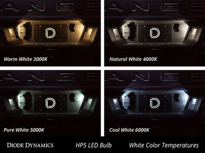 Diode Dynamics 194 LED Bulb HP5 LED - Red Set of 12 Diode Dynamics