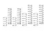 Eibach Pro-UTV 19-20 Can-Am Maverick X3 X DS Turbo R Stage 2 Performance Springs