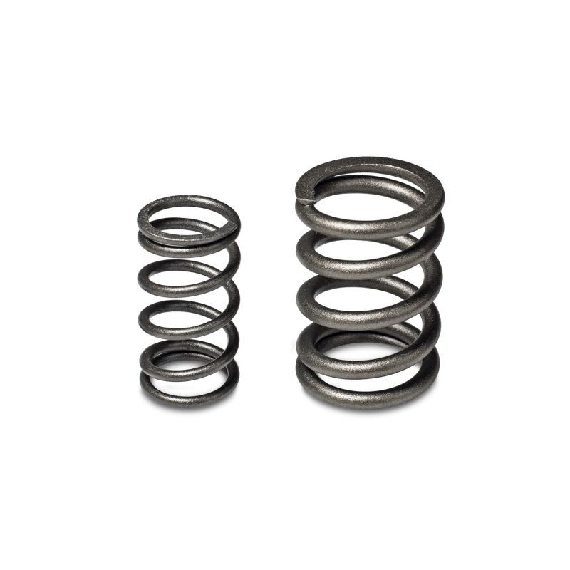 Skunk2 Tuner Series Honda/Acura (B16A/ B17A/ B18C) DOHC VTEC Alpha Valve Spring Set (Dual Springs) - eliteracefab.com