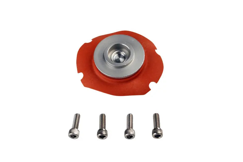 Aeromotive 13001 EFI Regulator Repair Kit - eliteracefab.com