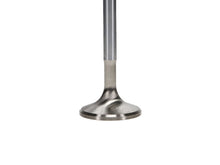 Load image into Gallery viewer, Manley Severe Duty Stainless Steel Exhaust Valves Chrysler V8 1.600 - Set of 8