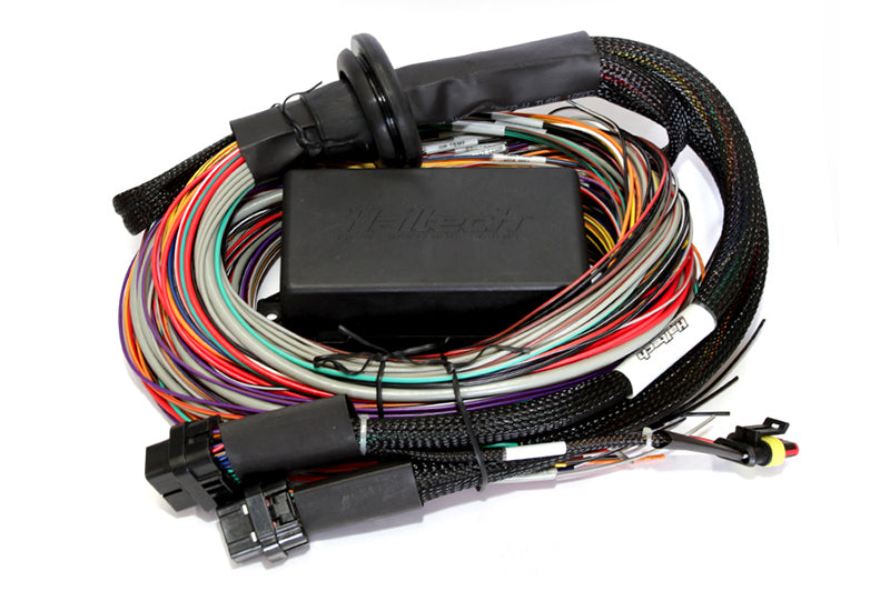 Haltech Elite 2500 & 2500 T 8ft Premium Universal Wire-In Harness - eliteracefab.com