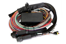 Load image into Gallery viewer, Haltech Elite 2500 &amp; 2500 T 8ft Premium Universal Wire-In Harness - eliteracefab.com