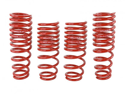 Skunk2 94-01 Acura Integra Lowering Springs (2.50in - 2.25in.) (Set of 4) - eliteracefab.com