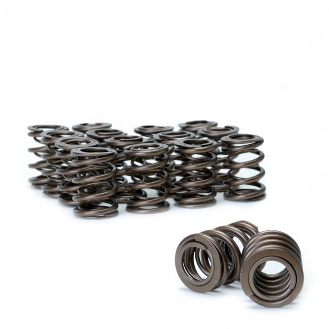 Skunk2 Tuner Series Honda/Acura (B16A/ B17A/ B18C) DOHC VTEC Alpha Valve Spring Set (Dual Springs) - eliteracefab.com