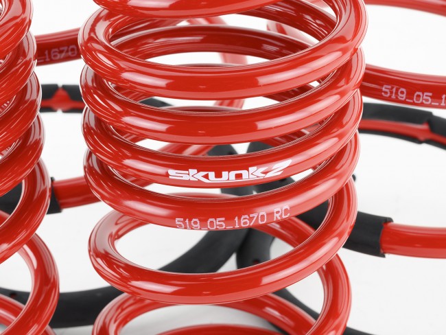 Skunk2 02-04 Acura RSX Lowering Springs (2.25in - 2.00in.) (Set of 4) - eliteracefab.com