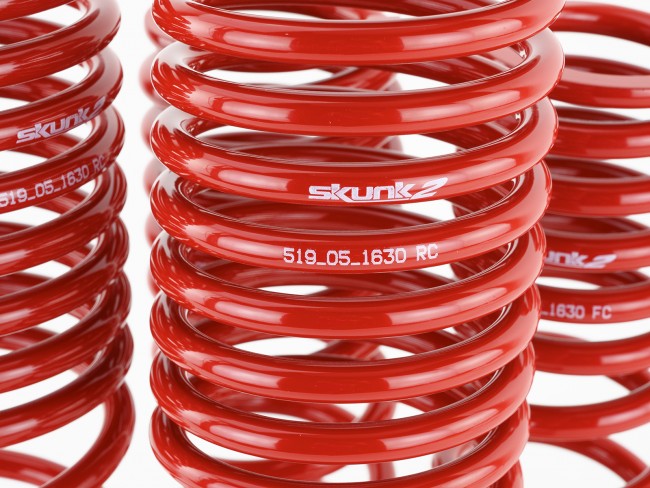 Skunk2 90-97 Honda Accord (All Models) Lowering Springs (2.00in. - 1.80in.) (Set of 4) - eliteracefab.com