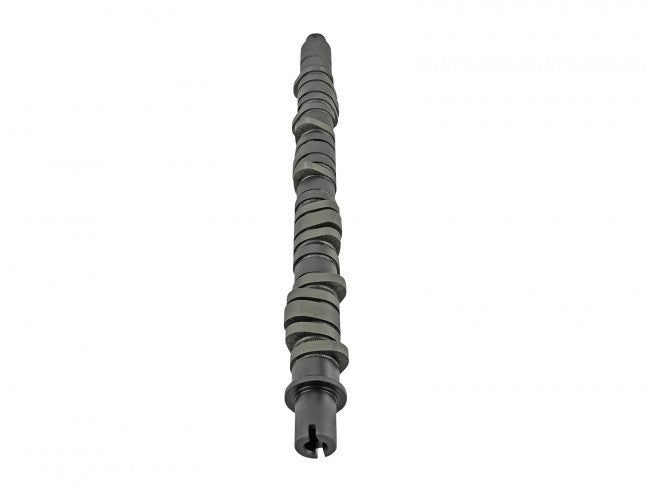 Skunk2 Tuner Series D-Series Honda Stage 2 Camshaft - eliteracefab.com