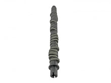 Load image into Gallery viewer, Skunk2 Tuner Series D-Series Honda Stage 2 Camshaft - eliteracefab.com