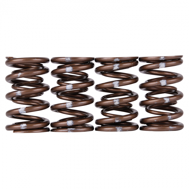 Skunk2 Pro Series Honda/Acura K-Series i-VTEC XP Valve Spring Set (Dual Springs) - eliteracefab.com