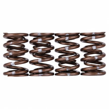 Load image into Gallery viewer, Skunk2 Pro Series Honda/Acura K-Series i-VTEC XP Valve Spring Set (Dual Springs) - eliteracefab.com