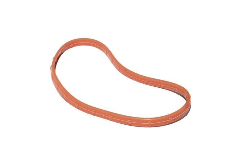 FAST O-Ring Seal For 102MM Throttle - eliteracefab.com