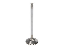 Load image into Gallery viewer, Manley Ford 6.2L 42mm Diameter 5.356in O/A Length Race Master Exhaust Valves (Set of 8)