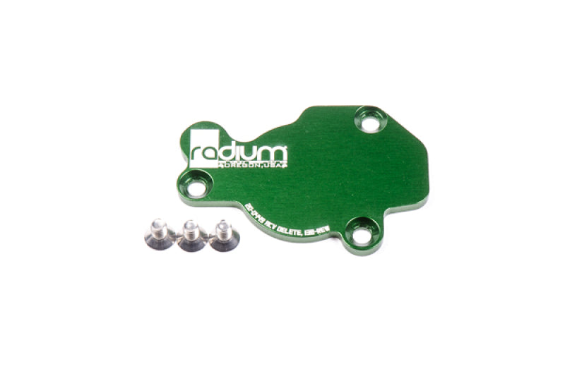 Radium Engineering Mazda 13B-REW ACV Delete - eliteracefab.com