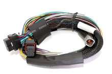 Load image into Gallery viewer, Haltech Elite 2500 8ft Basic Universal Wire-In Harness (Excl Relays or Fuses) - eliteracefab.com