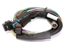 Haltech Elite 2500 8ft Basic Universal Wire-In Harness (Excl Relays or Fuses) - eliteracefab.com