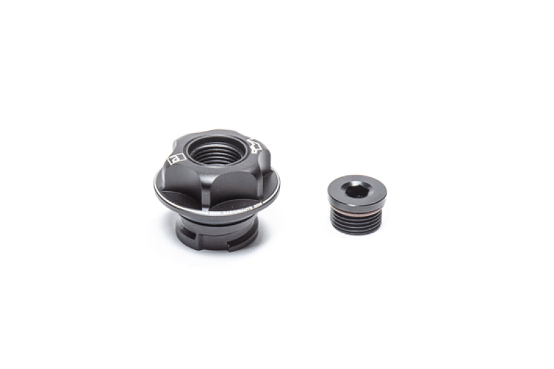 Radium Engineering GM LS Oil Cap - eliteracefab.com