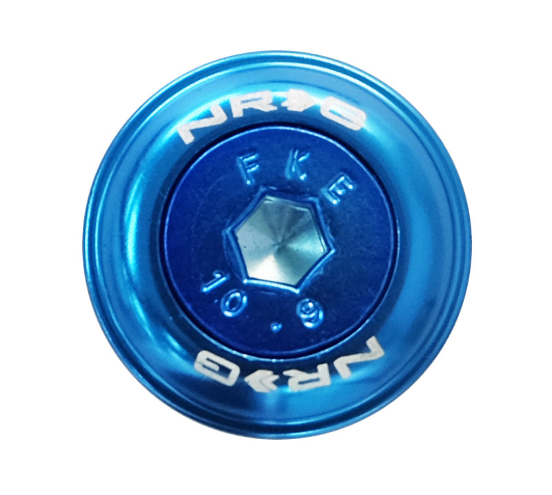 NRG Fender Washer Kit w/Color Matched M6 Bolt Rivets For Plastic (Blue) - Set of 10 - FW-150BL