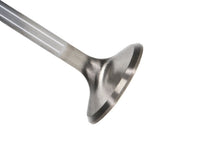 Load image into Gallery viewer, Manley Chrysler Hemi 6.1L 1.625in Race Master B/L Exhaust Valves (Set of 8)