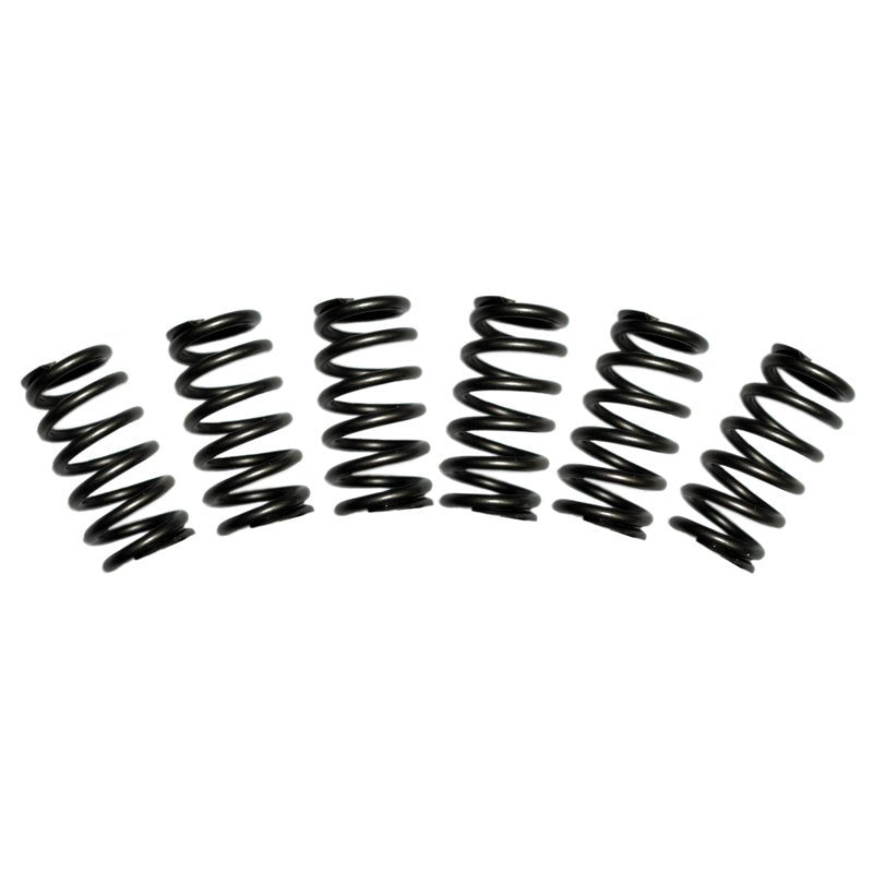 BD Diesel Valve Spring Kit 60lb Cummins 5.9 12-valve - eliteracefab.com