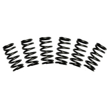 Load image into Gallery viewer, BD Diesel Valve Spring Kit 60lb Cummins 5.9 12-valve - eliteracefab.com