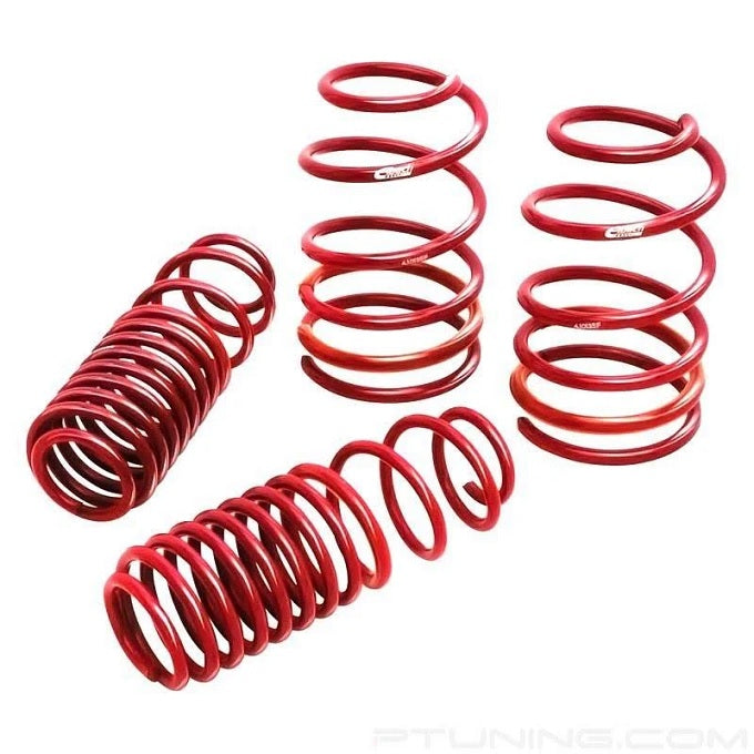 Eibach Sportline Kit for 82-92 Chevrolet Camaro / 82-92 Pontiac Firebird - eliteracefab.com