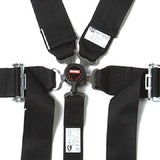 RaceQuip Black SFI CAMLOCK 6pt PD Lap Seat Belt