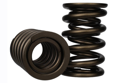 Ford Racing Replacement Valve Springs (TVS-1734) - Set Of 8 Ford Racing