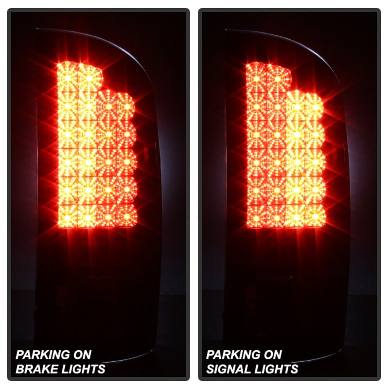 Spyder Dodge Ram 02-06 1500/Ram 2500/3500 03-06 LED Tail Light Black Smoke ALT-YD-DRAM02-LED-BSM - eliteracefab.com