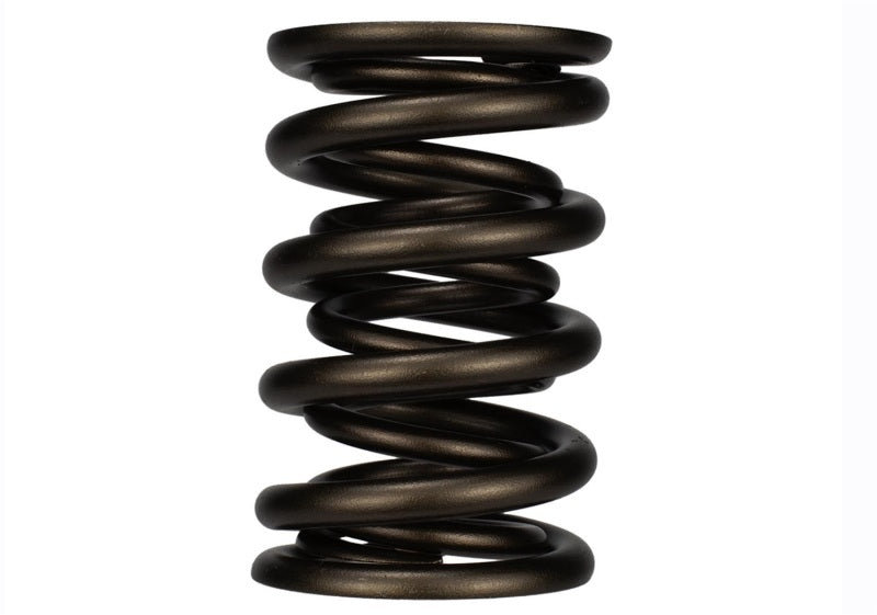 Ford Racing Replacement Valve Springs (TVS-1734) - Set Of 8 Ford Racing