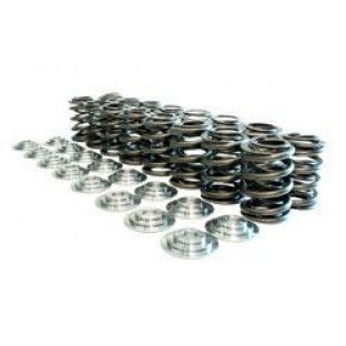 MANLEY 26185 Spring/Retainer Kit Includes Spring # 22185-16 and Retainer # 23185-16 - eliteracefab.com