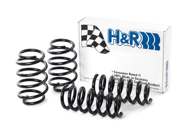 H&R 09-19 Ford Flex (2WD/AWD) Sport Spring - eliteracefab.com