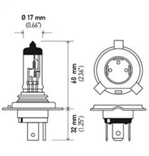 Load image into Gallery viewer, Hella H4 24V 75/70W P43t T4.625 Halogen Bulb (Min Order Qty 10)