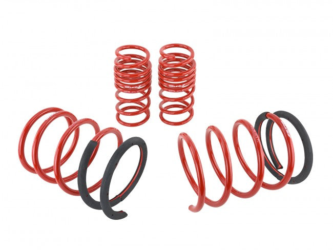 Skunk2 01-05 Honda Civic Lowering Springs (2.25in - 2.00in.) (Set of 4) - 519-05-1570 - eliteracefab.com